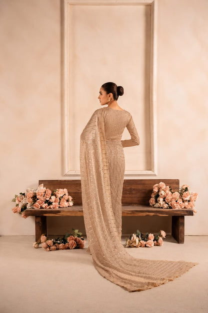 Layla Skin Brown Moonlight Saree