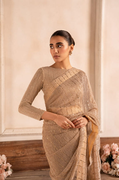 Layla Skin Brown Moonlight Saree